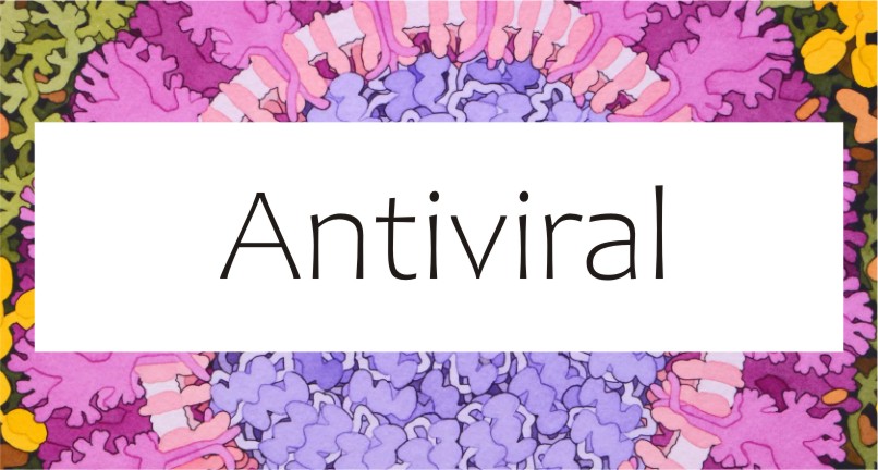 ANTIVIRAL