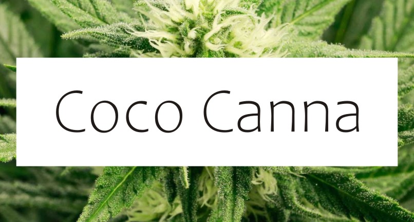 COCO CANNA