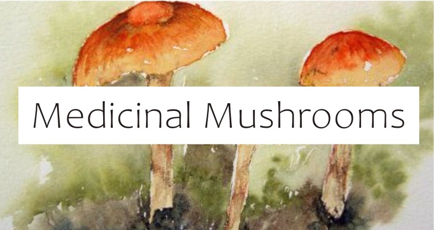 MEDICINAL MUSHROOMS