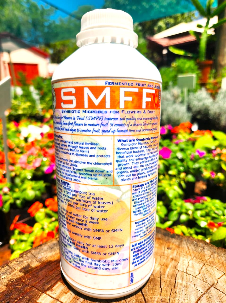 SMFF front